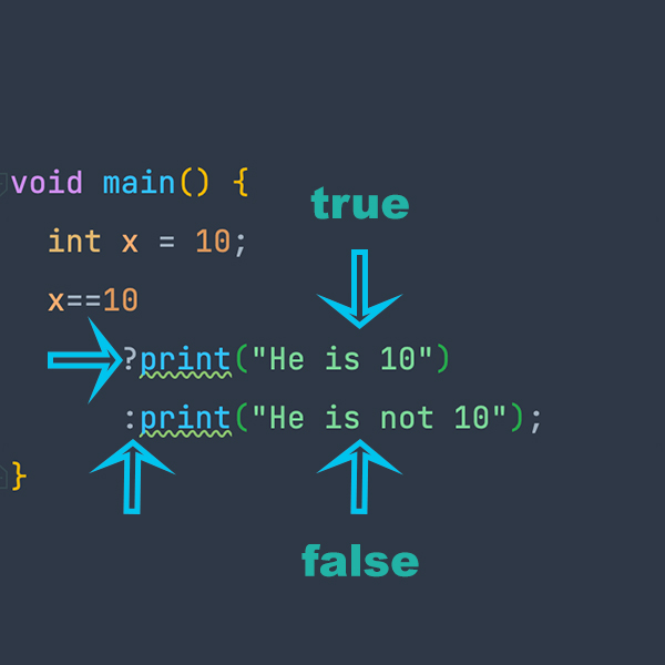 Dart Flutter Ternary Operator